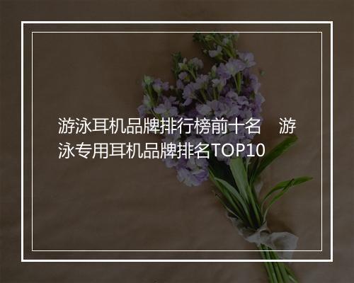游泳耳机品牌排行榜前十名　游泳专用耳机品牌排名TOP10