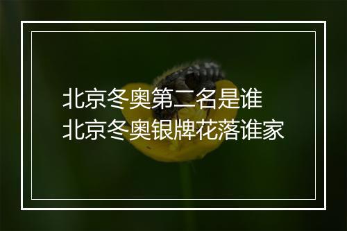 北京冬奥第二名是谁　北京冬奥银牌花落谁家