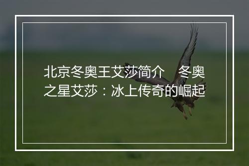 北京冬奥王艾莎简介　冬奥之星艾莎：冰上传奇的崛起