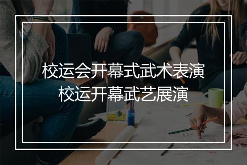 校运会开幕式武术表演 校运开幕武艺展演